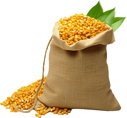 Fertilizer Products