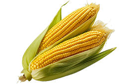 DAP Fertilizer